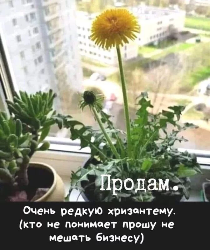 Посмеялся сам - поделись с другом!!!
