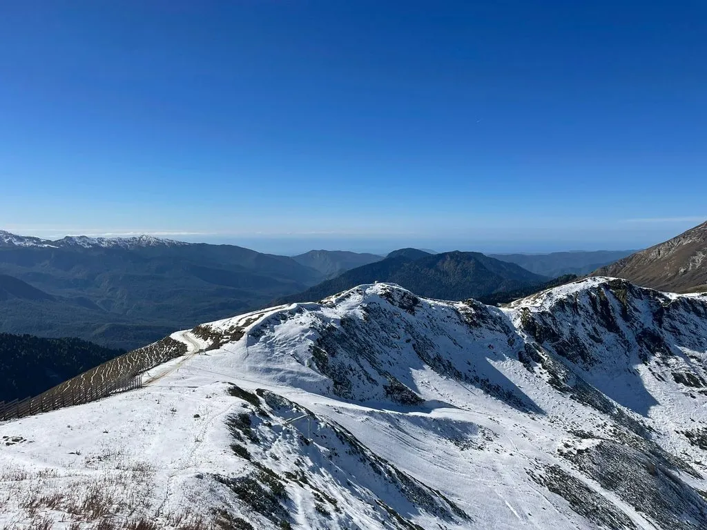 Чайная беседка