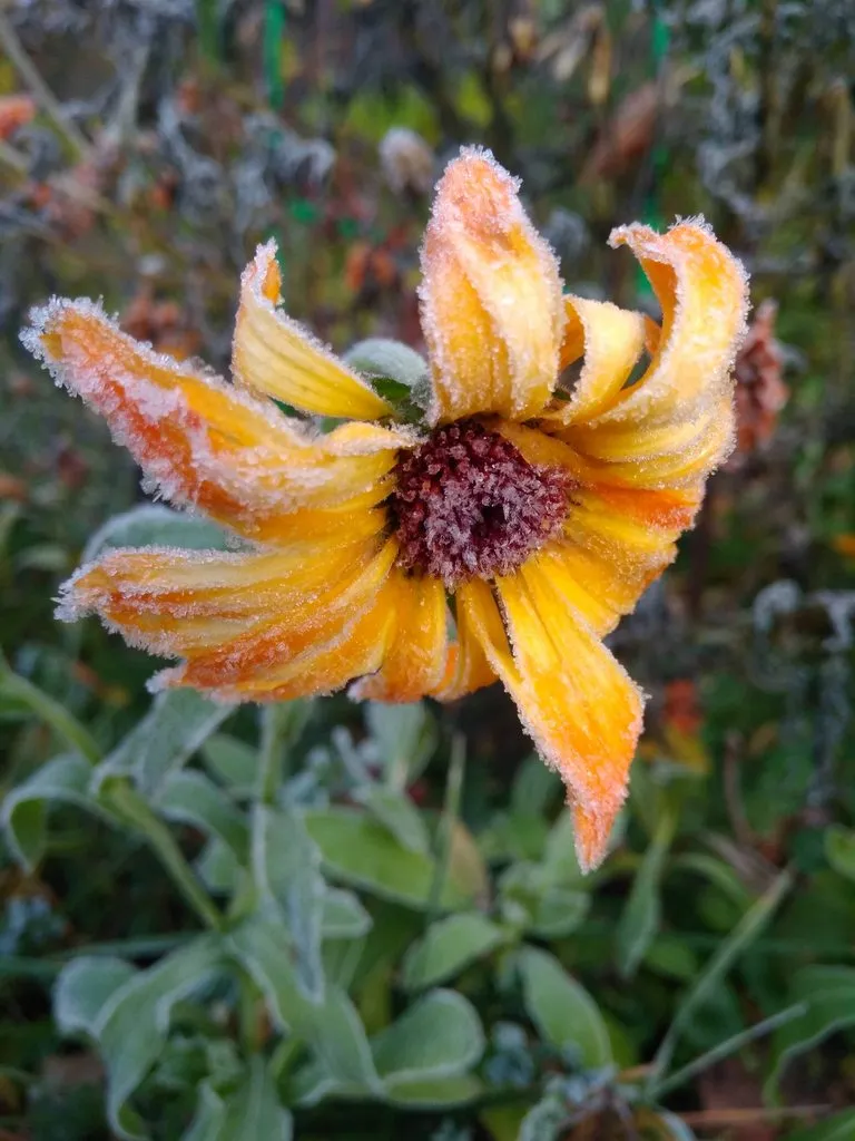 Tapтaлeтки & Ко