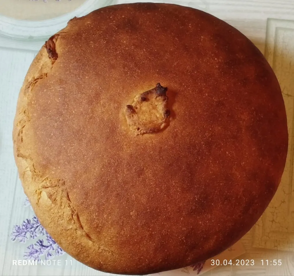 Tapтaлeтки & Ко