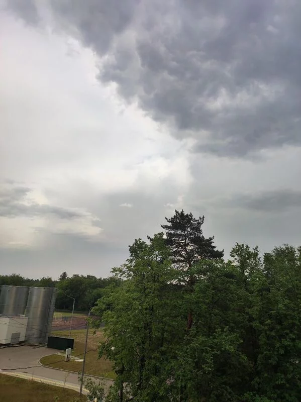 Чайная беседка