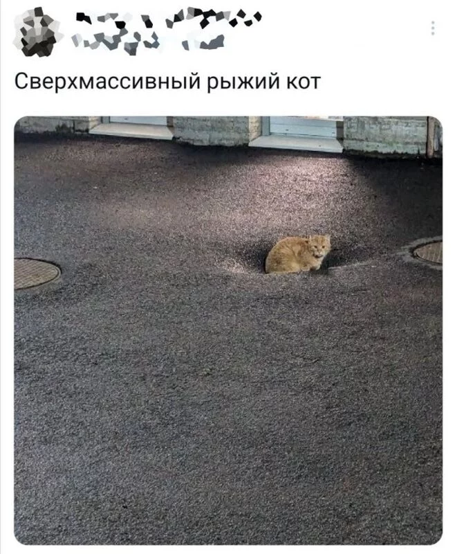 Посмеялся сам - поделись с другом!!!