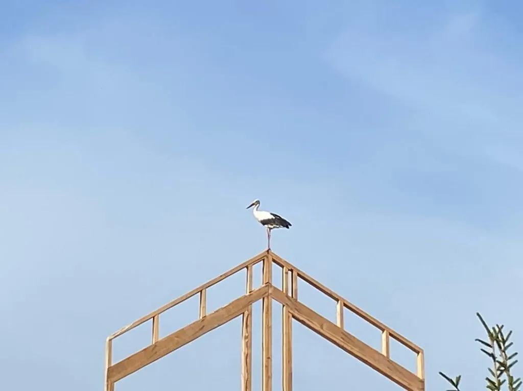 В гостях у Батьки