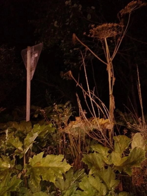 Чайная беседка