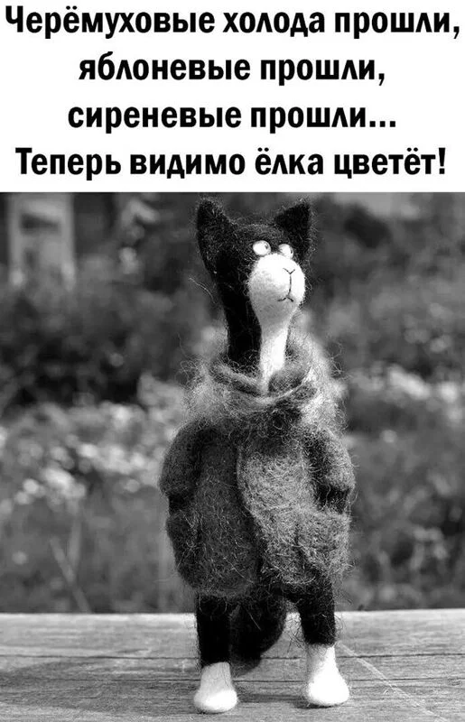 Кафе "У пани Сони"