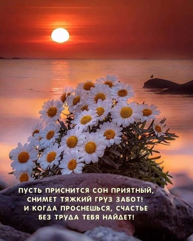 Кафе "У пани Сони"