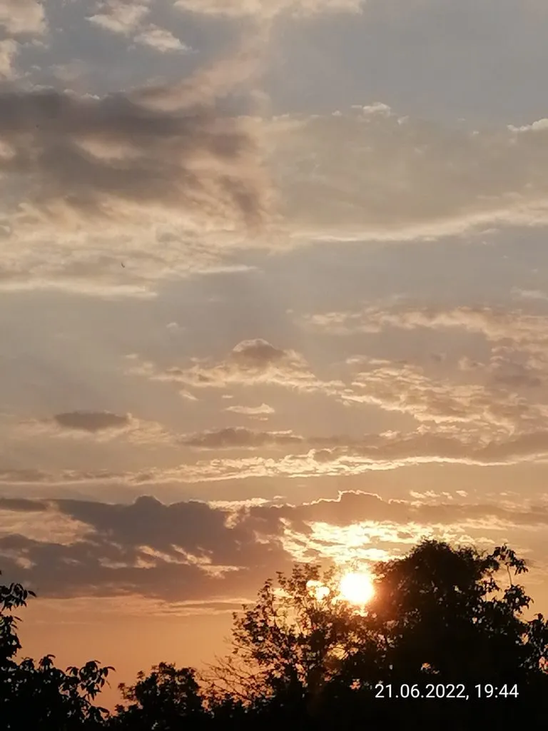 Чайная беседка