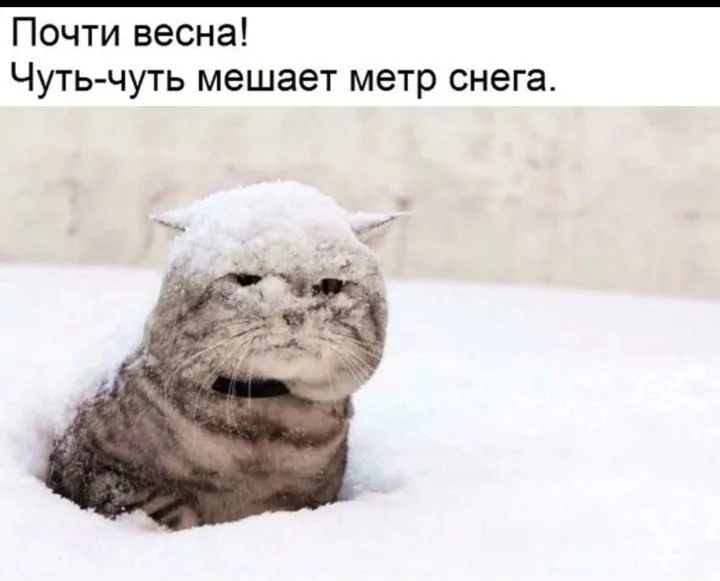 Посмеялся сам - поделись с другом!!!