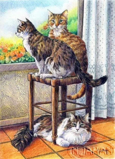 Кафе «У пани Сони»