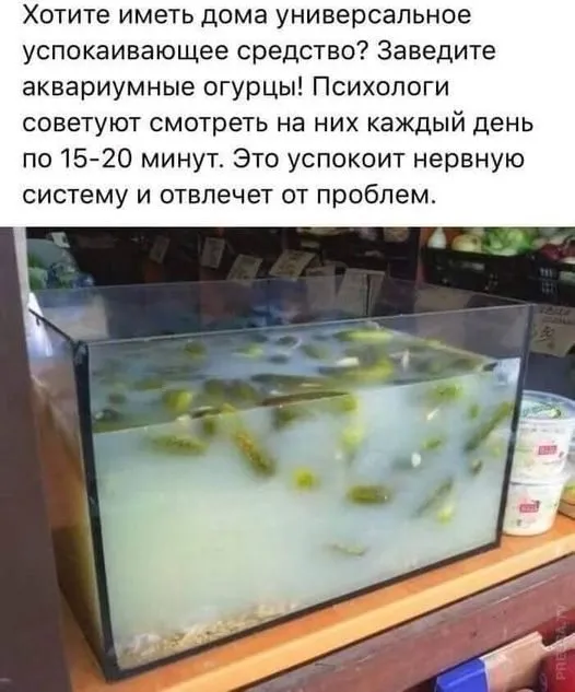 Посмеялся сам - поделись с другом!!!