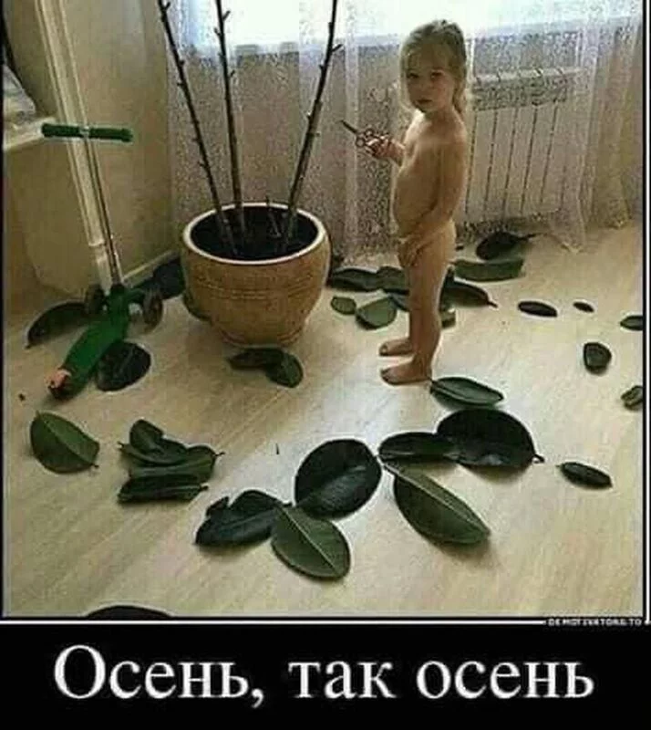 Посмеялся сам - поделись с другом!!!