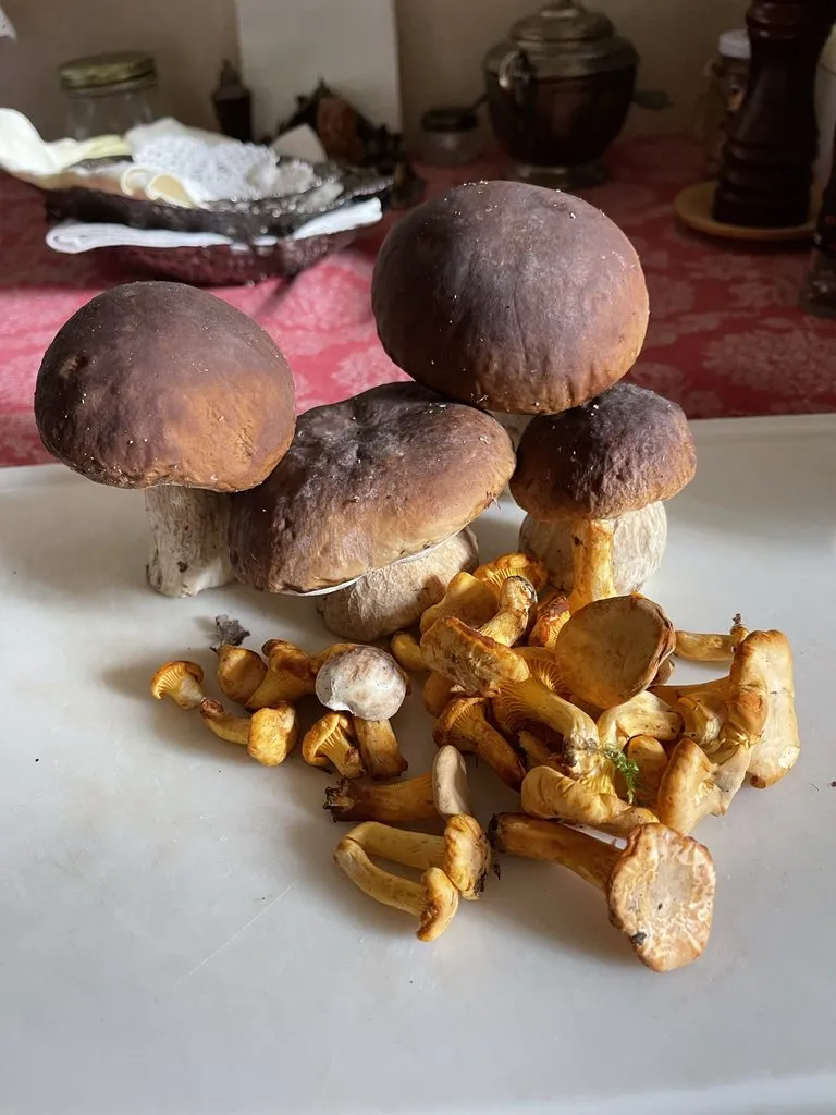 Чайная беседка