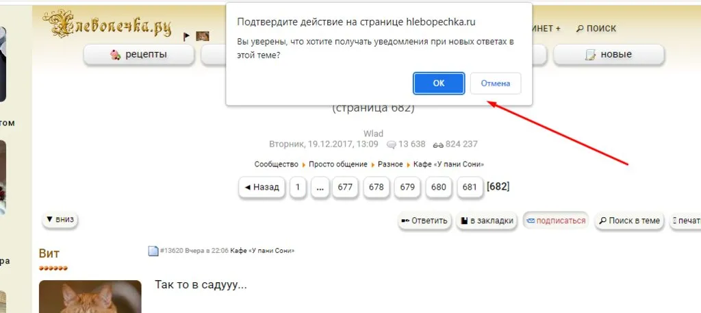 Кафе «У пани Сони»