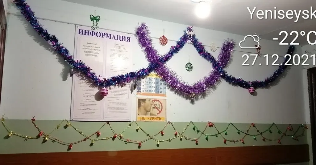 Похвастаемся елками!