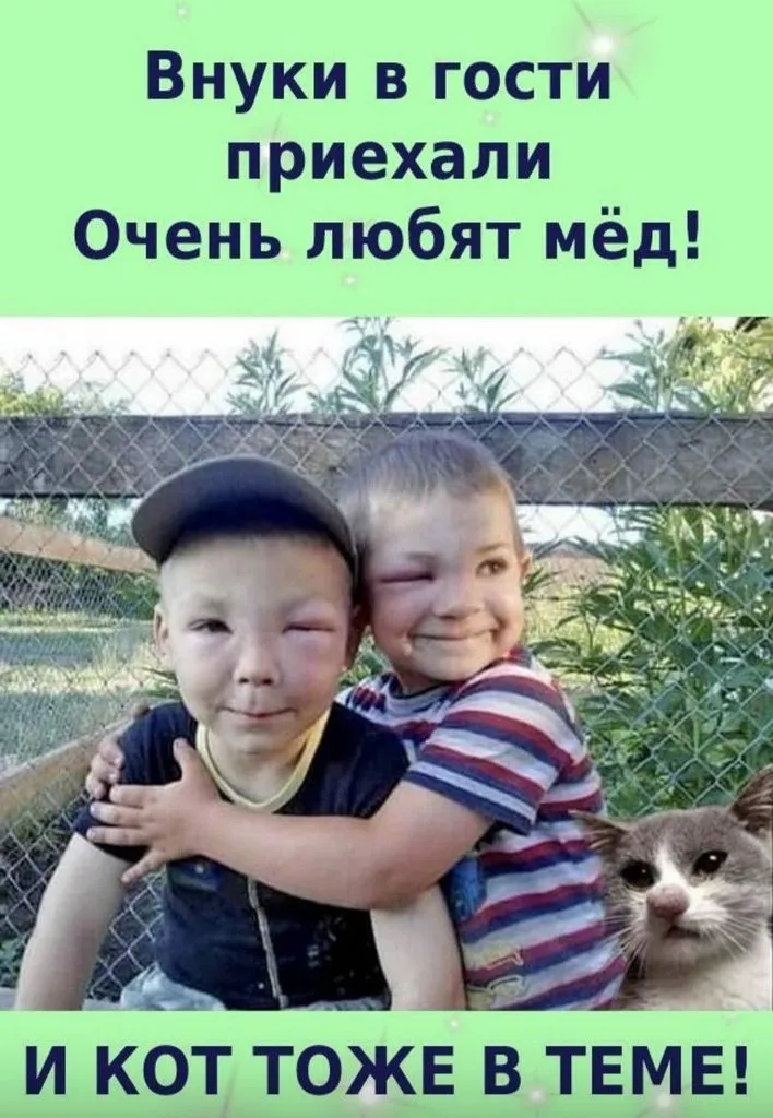 Пчёлки очень любят мёд