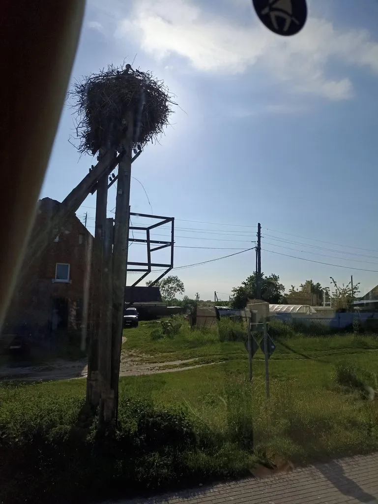 Калининградская область (не только море и янтарь) 
