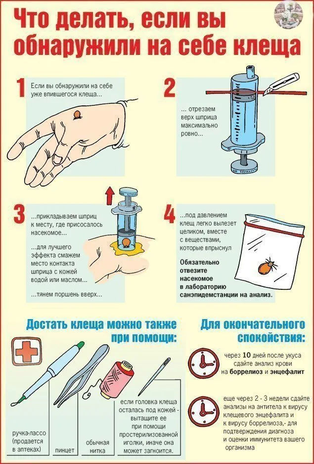 Медицинская инфографика
