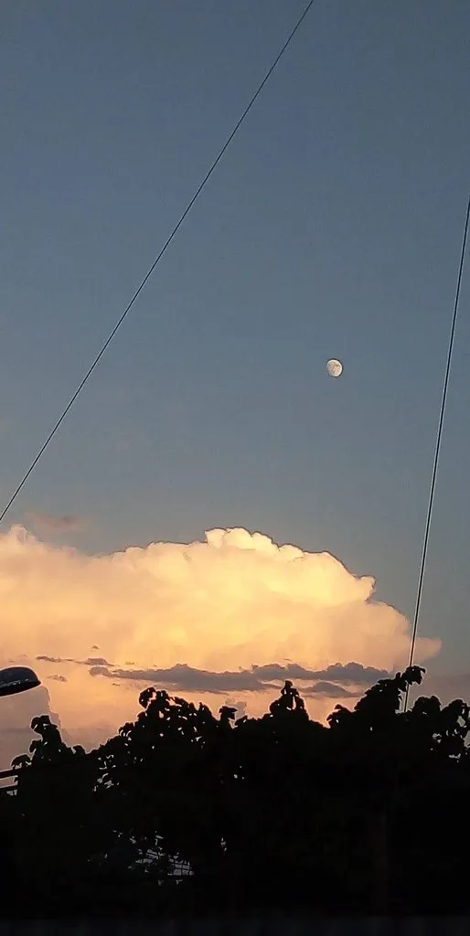 Чайная беседка