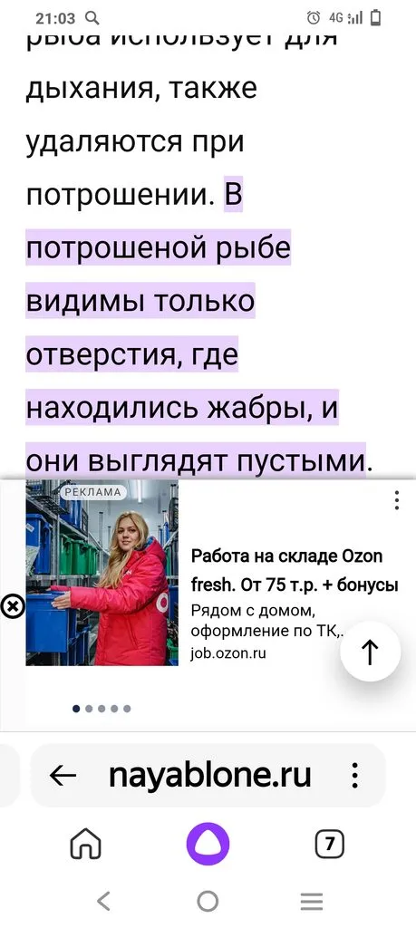 Глупые вопросы