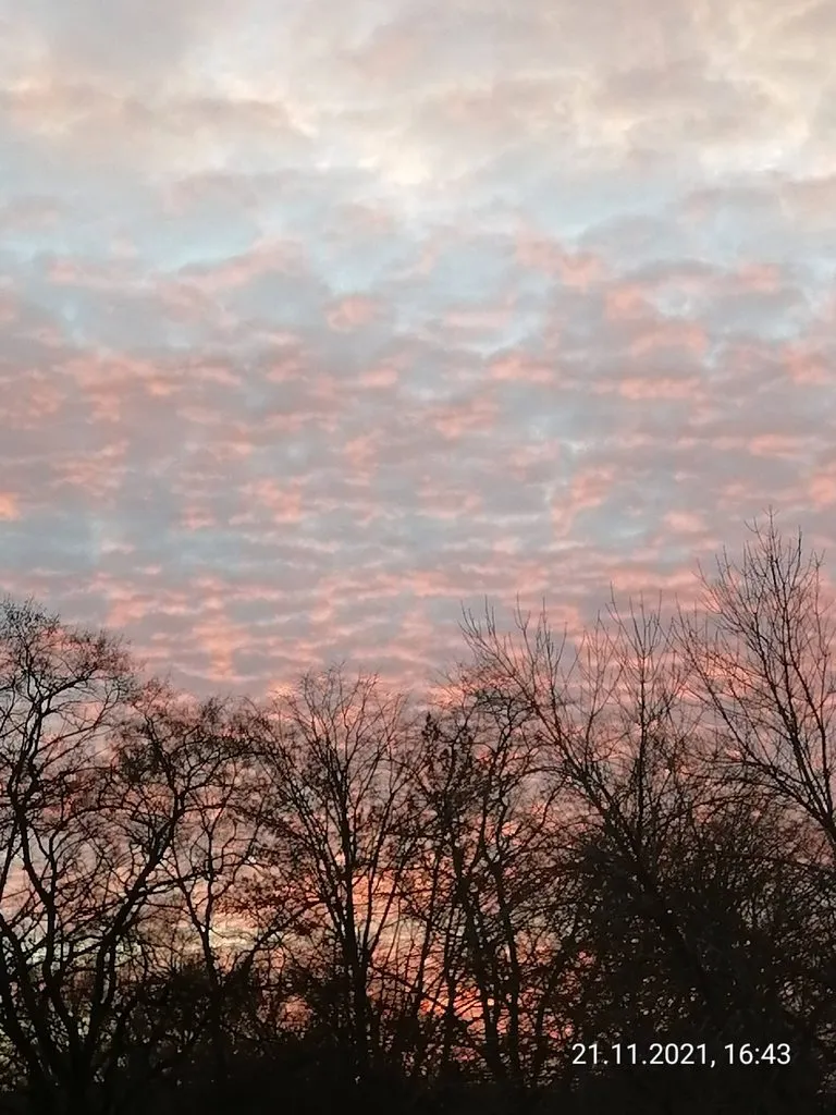 Такое разное небо