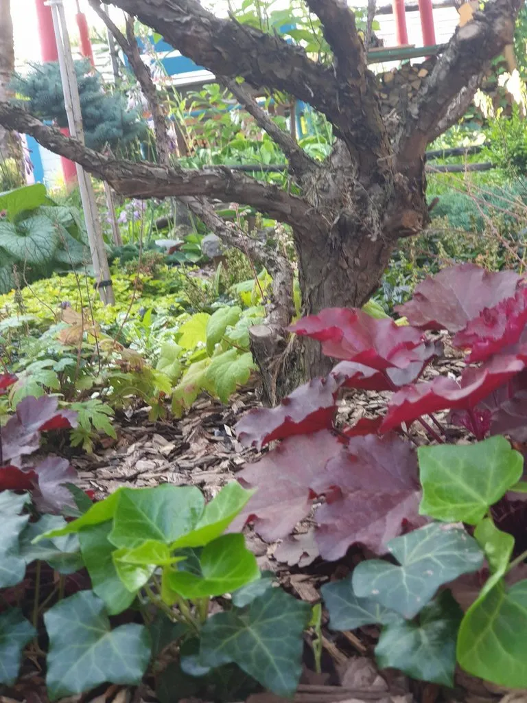 Чайная беседка