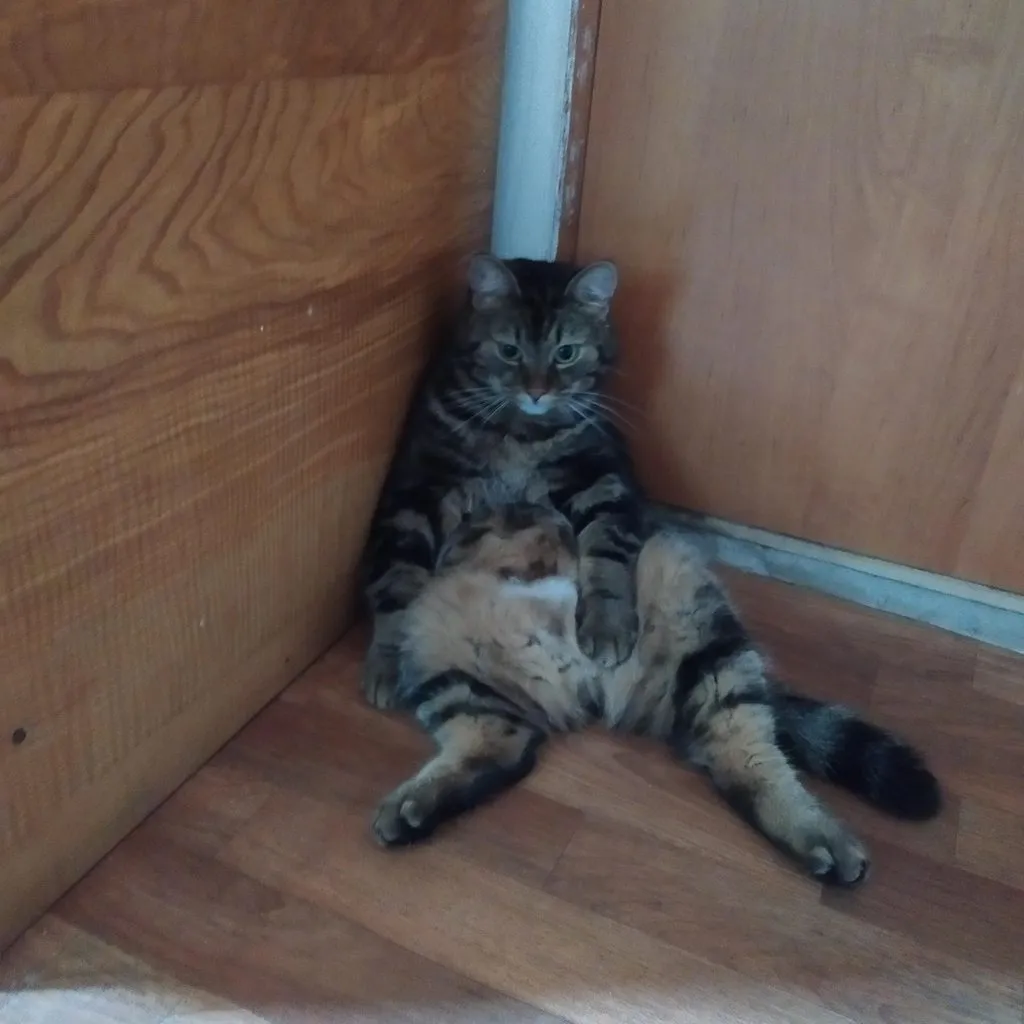 Чайная беседка