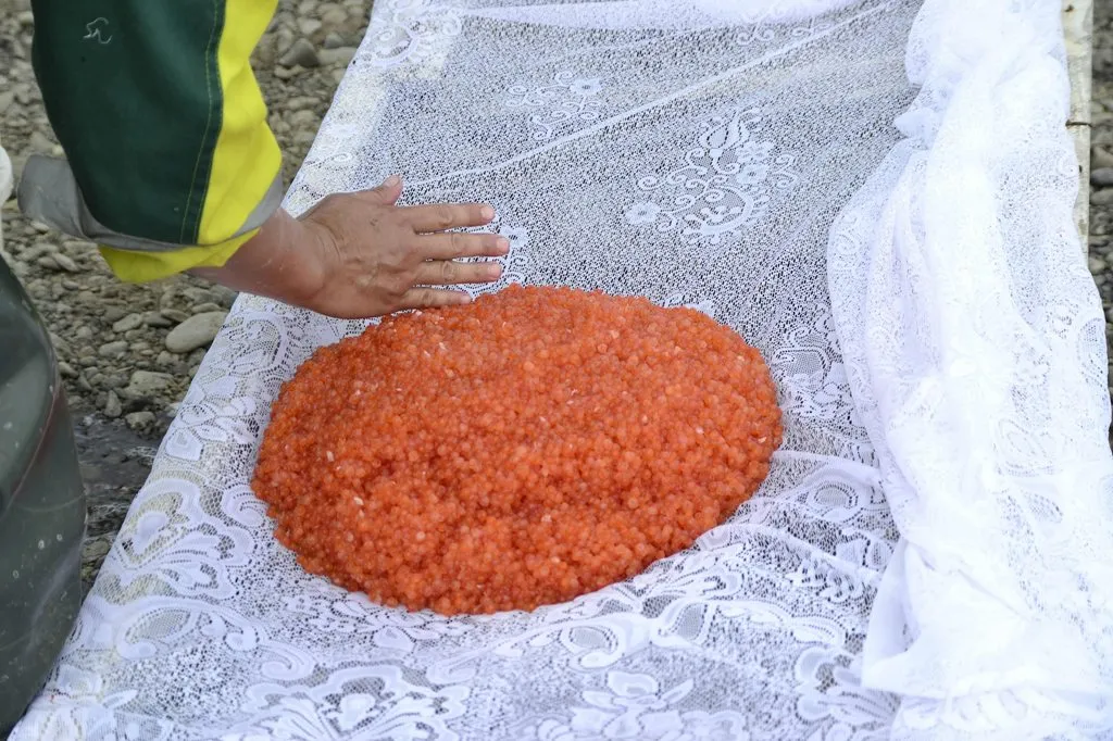 Чайная беседка