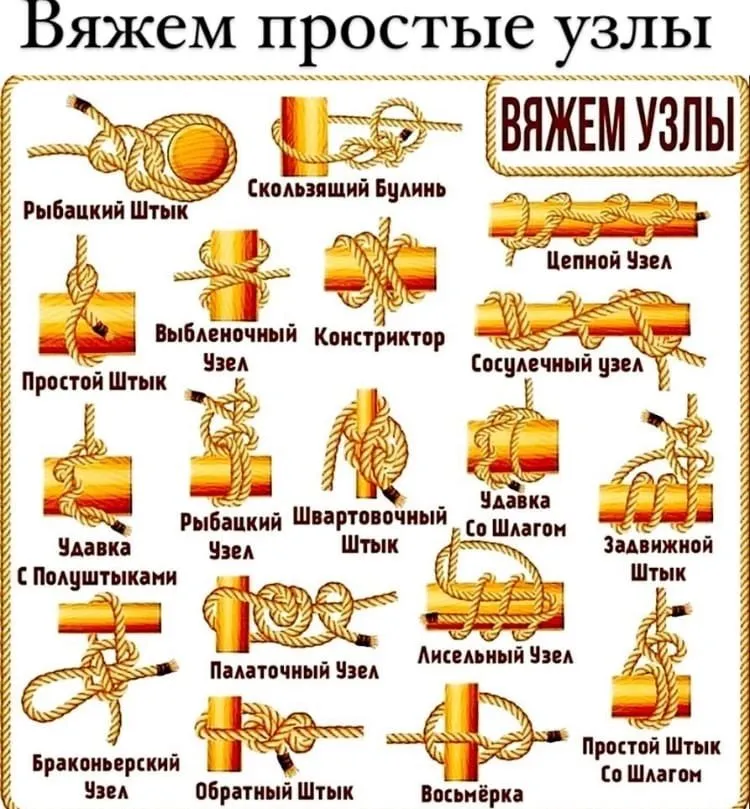 Домашняя инфографика