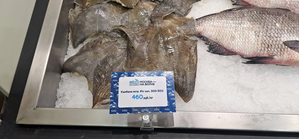 Где, что и когда купить в Москве