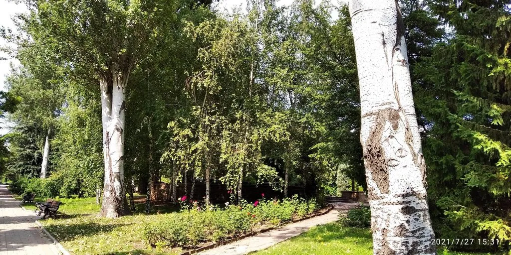 Tapтaлeтки & Ко