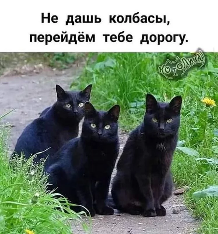 Посмеялся сам - поделись с другом!!!