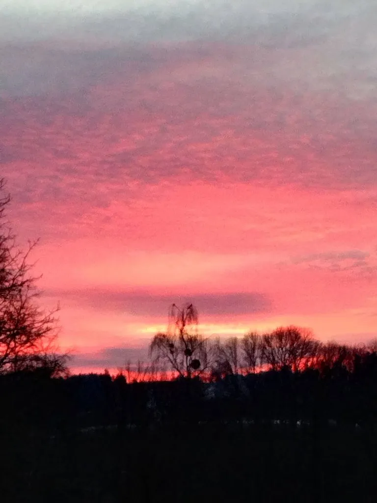 Чайная беседка