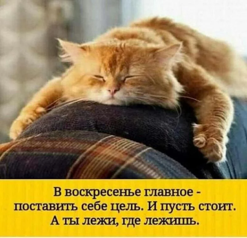 Кафе "У пани Сони"
