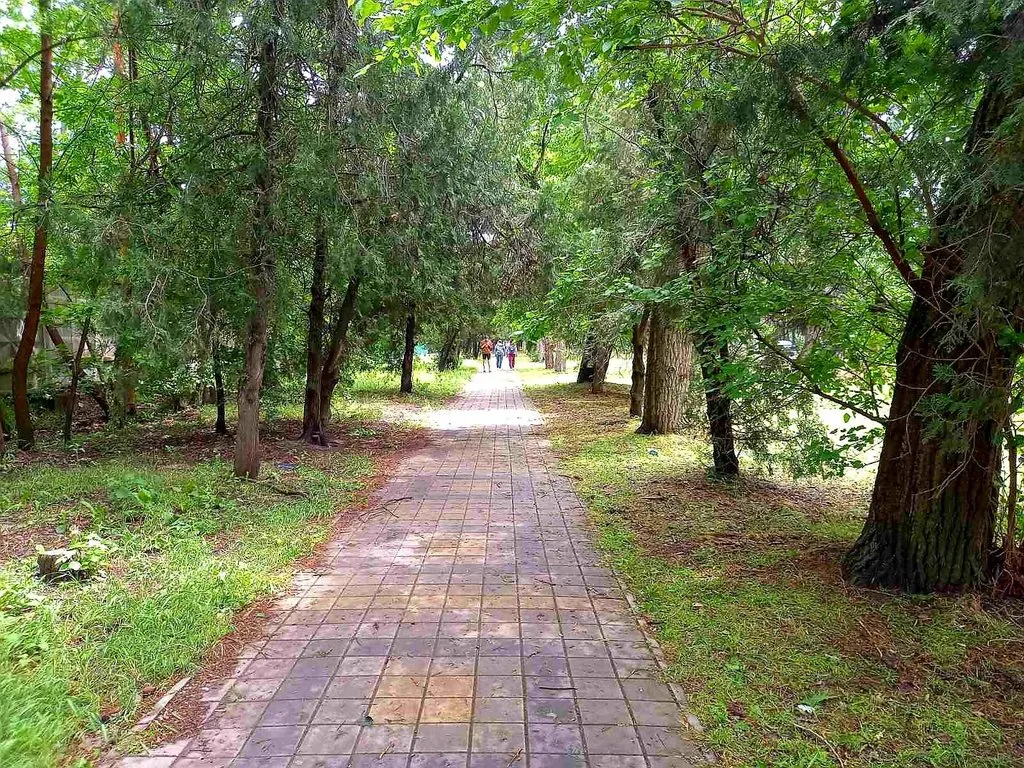 Чайная беседка