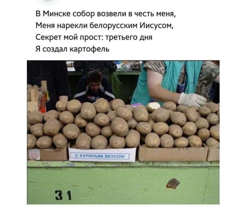 Всюду рифмы