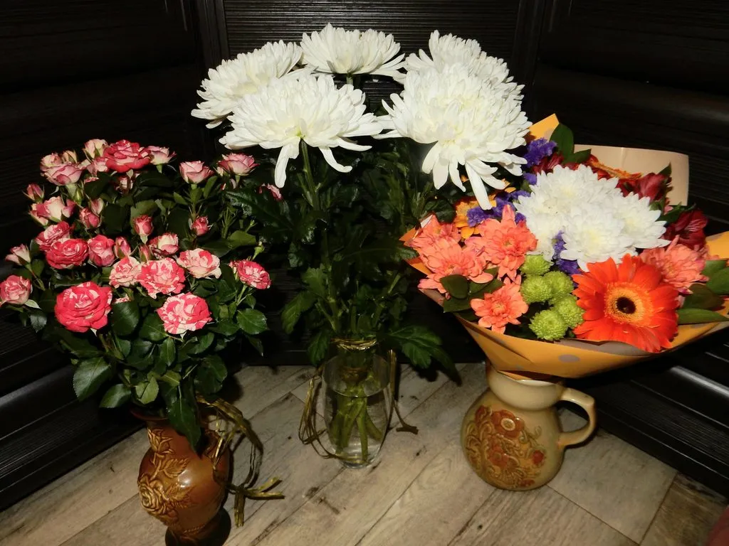 Tapтaлeтки & Ко