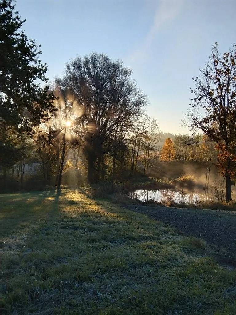 Чайная беседка