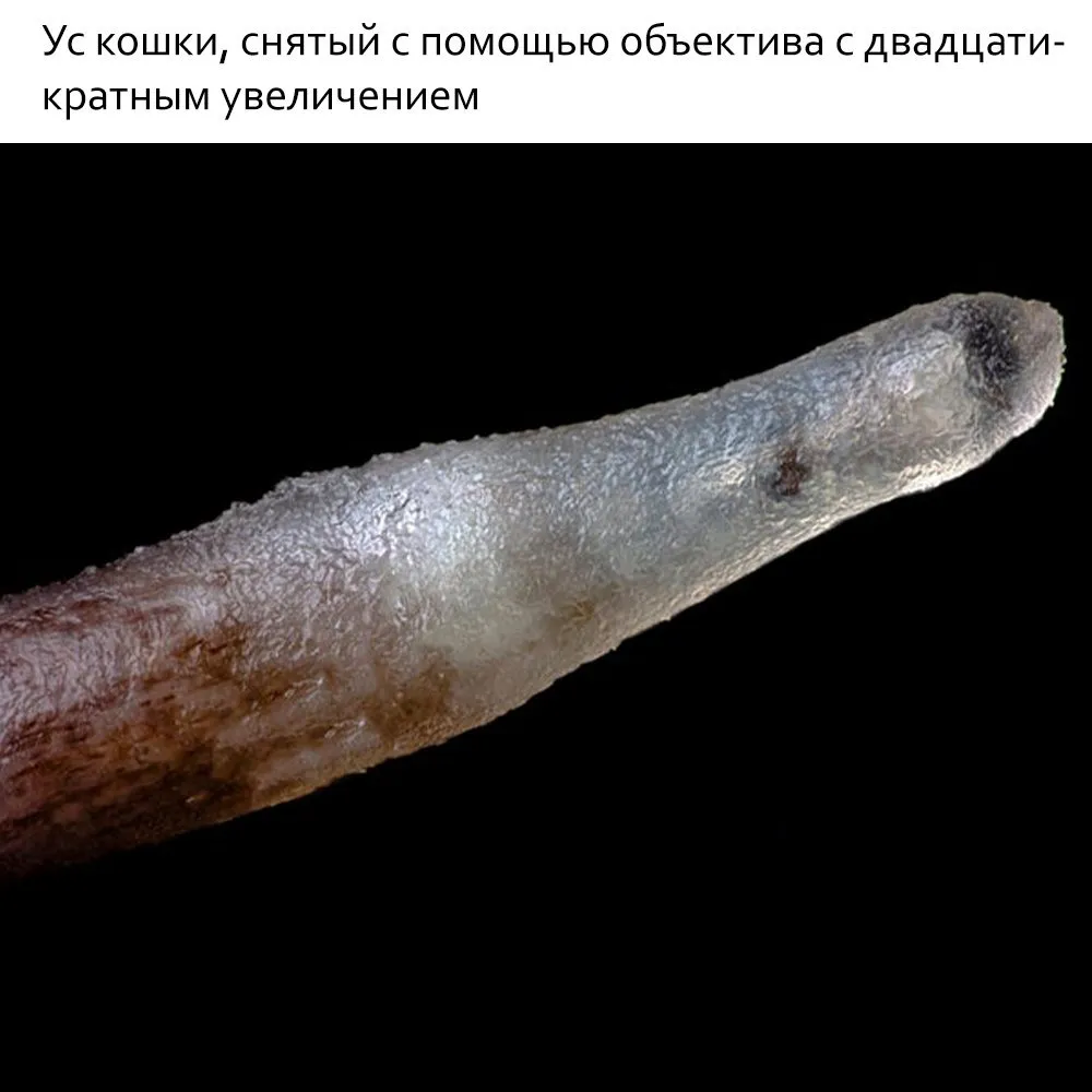 Это интересно!