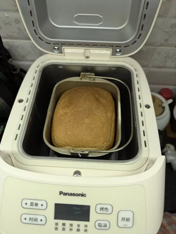 Мини-хлебопечка Panasonic SD PN100