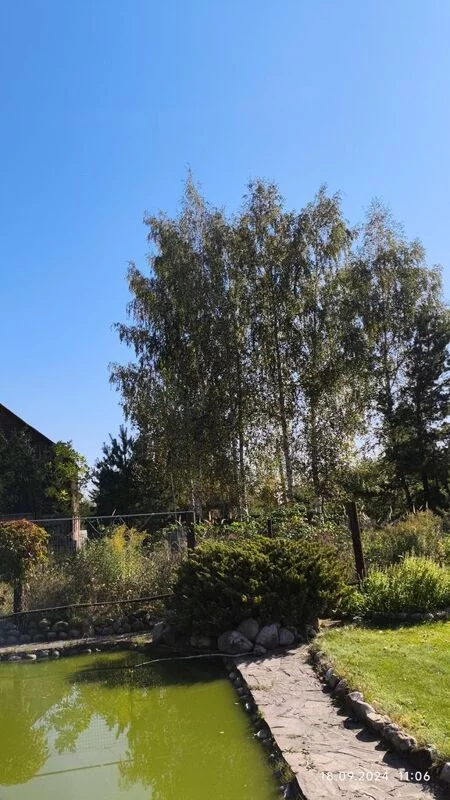 Чайная беседка