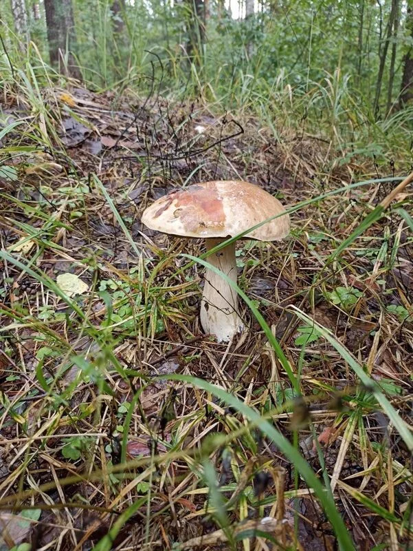 Фотонастроение