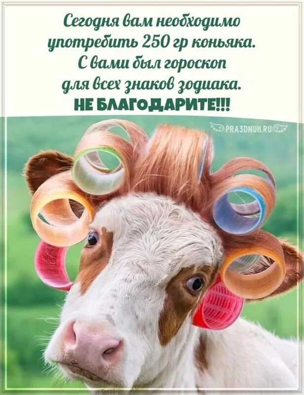 Кафе "У пани Сони"