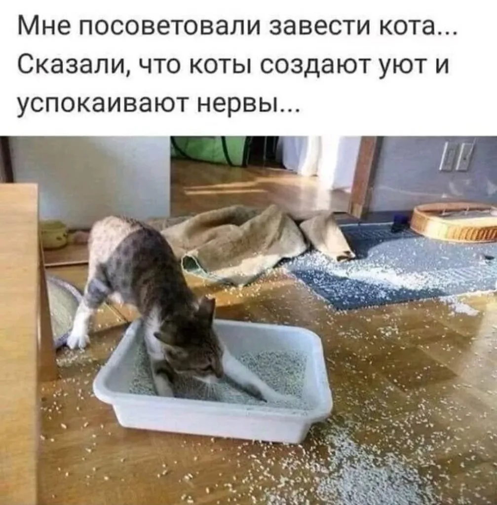 Посмеялся сам - поделись с другом!!!