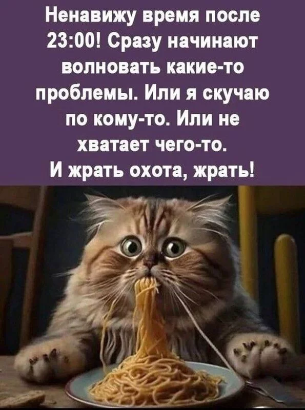 Позитивчик (фото, видео, рассказы для хорошего настроения)