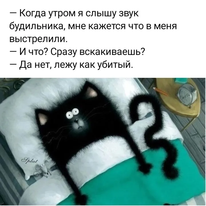 Позитивчик (фото, видео, рассказы для хорошего настроения)