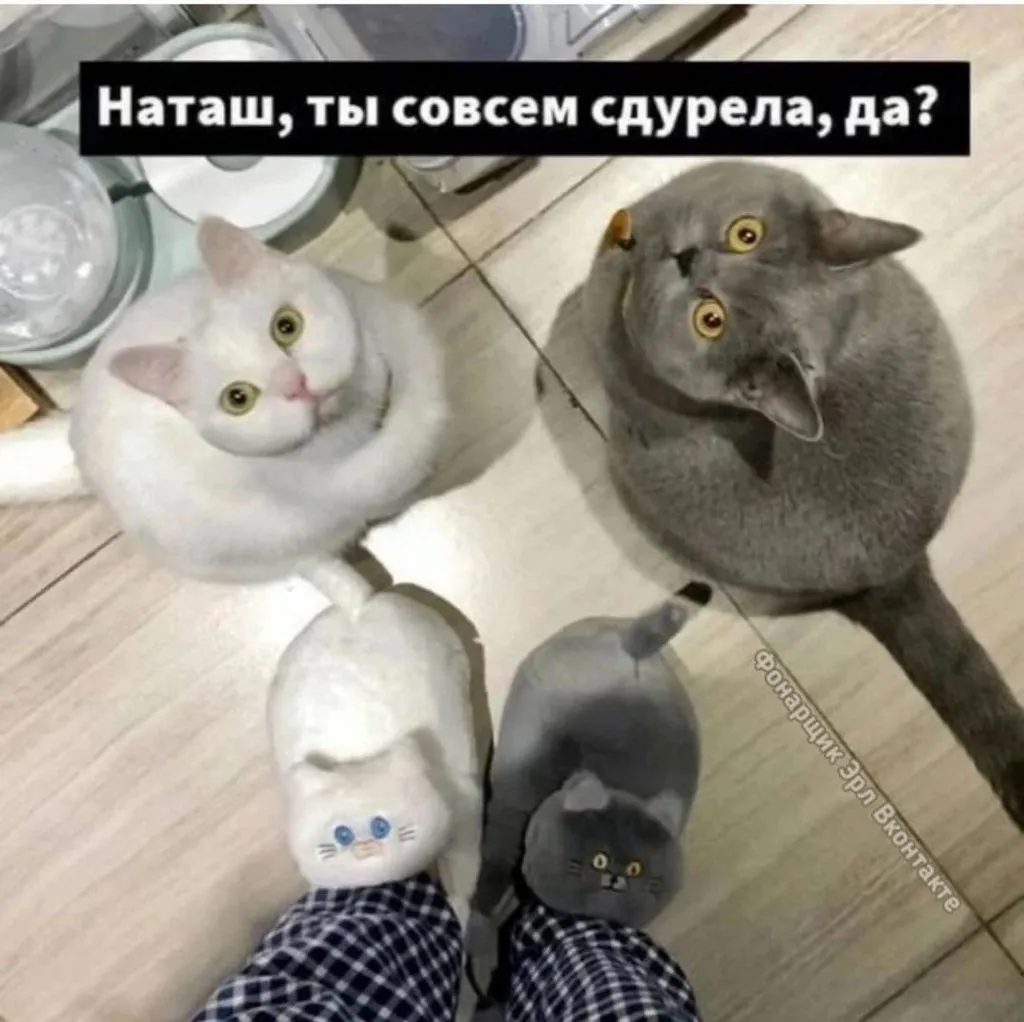 Посмеялся сам - поделись с другом!!!