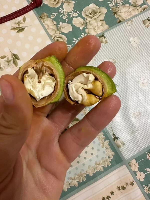 Чайная беседка