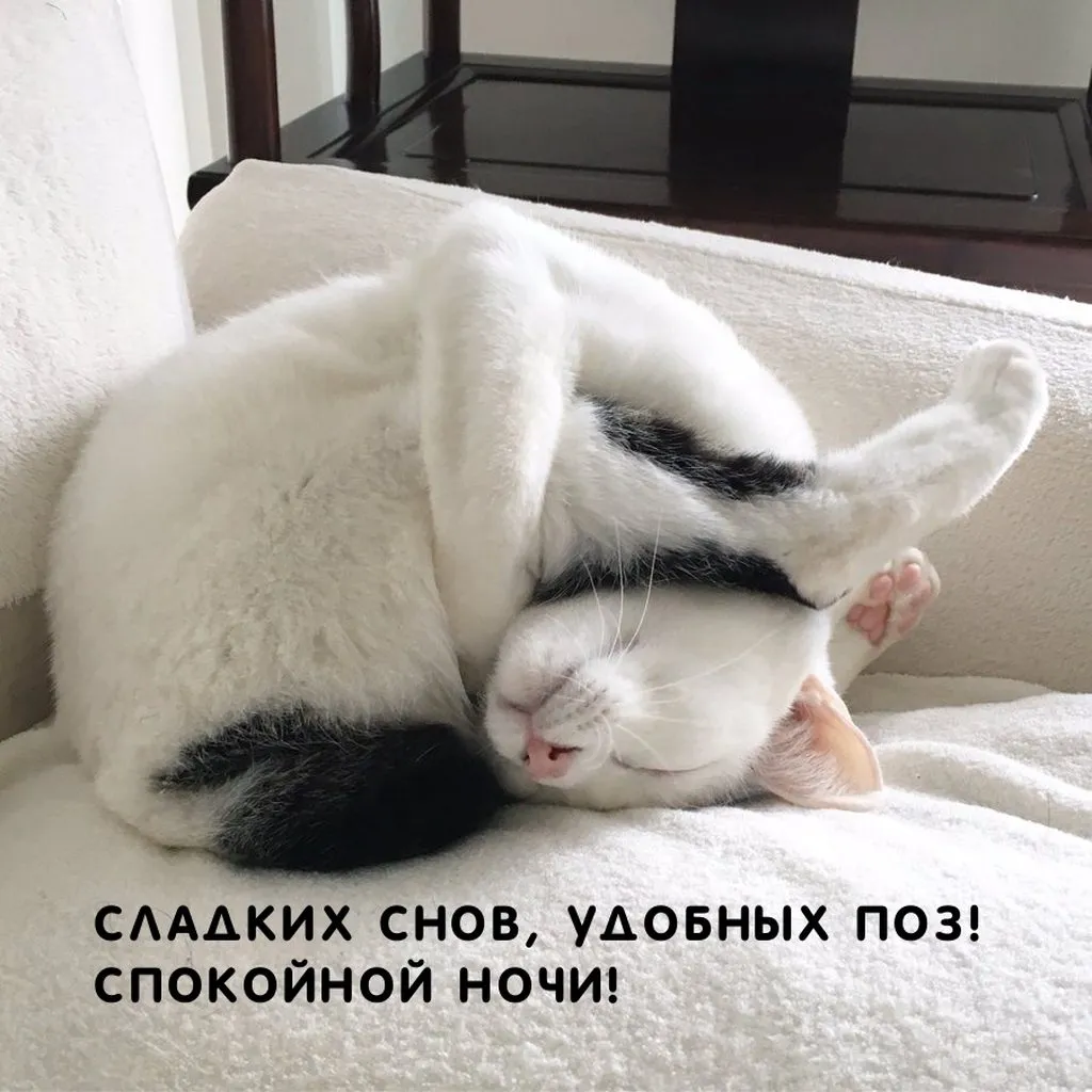 Посмеялся сам - поделись с другом!!!