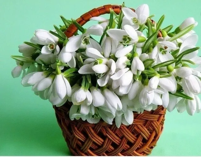 Кафе «У пани Сони»