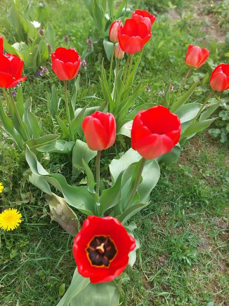 Кафе «У пани Сони»